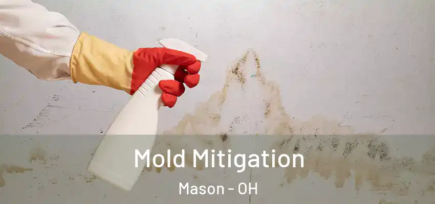  Mold Mitigation Mason - OH