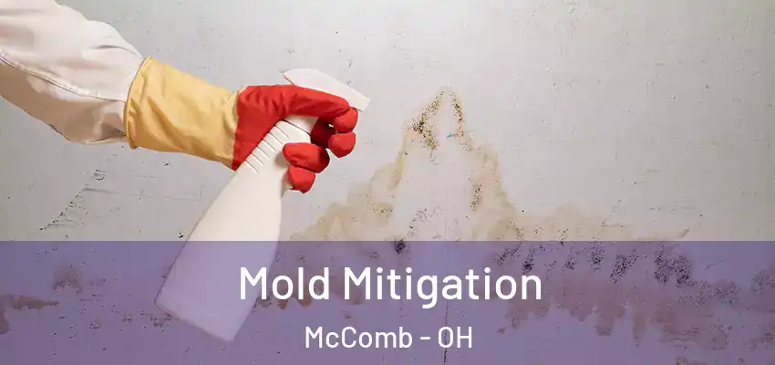  Mold Mitigation McComb - OH