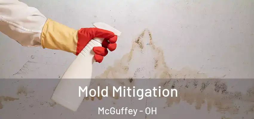  Mold Mitigation McGuffey - OH