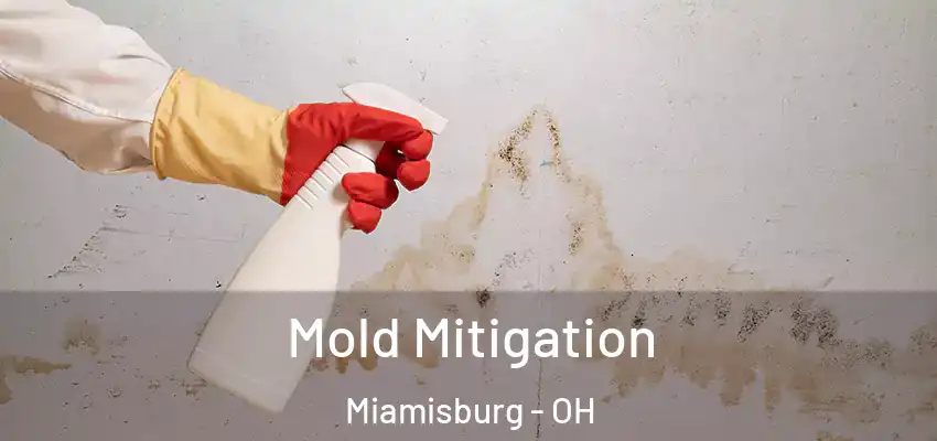  Mold Mitigation Miamisburg - OH
