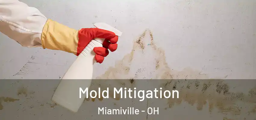  Mold Mitigation Miamiville - OH