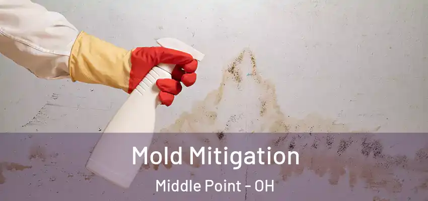  Mold Mitigation Middle Point - OH