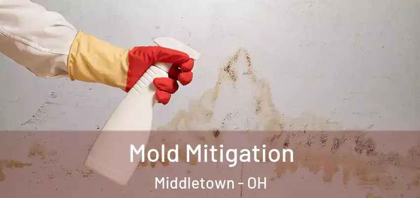  Mold Mitigation Middletown - OH