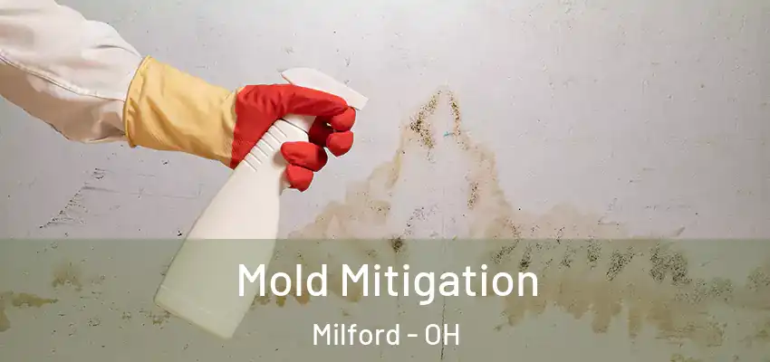 Mold Mitigation Milford - OH