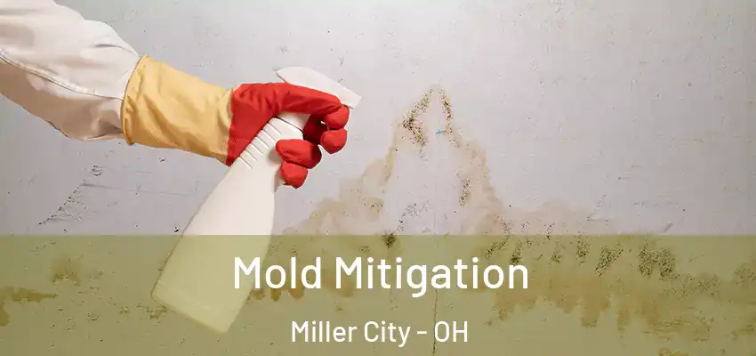  Mold Mitigation Miller City - OH