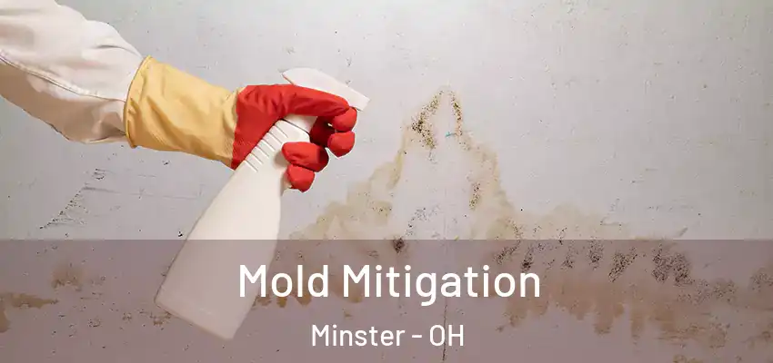  Mold Mitigation Minster - OH