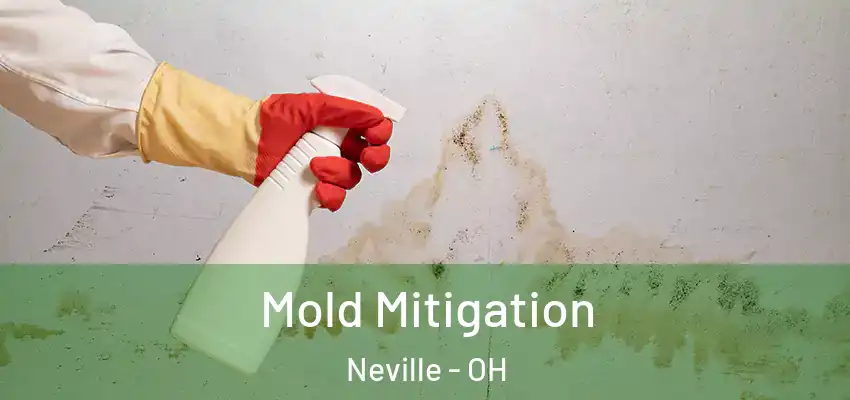  Mold Mitigation Neville - OH