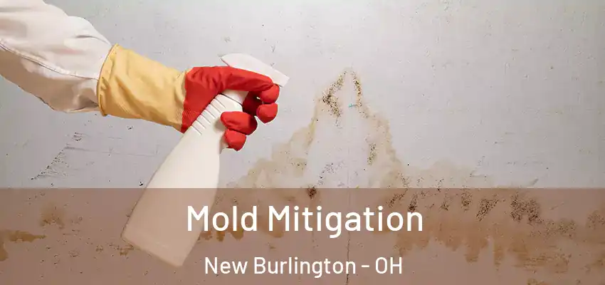  Mold Mitigation New Burlington - OH
