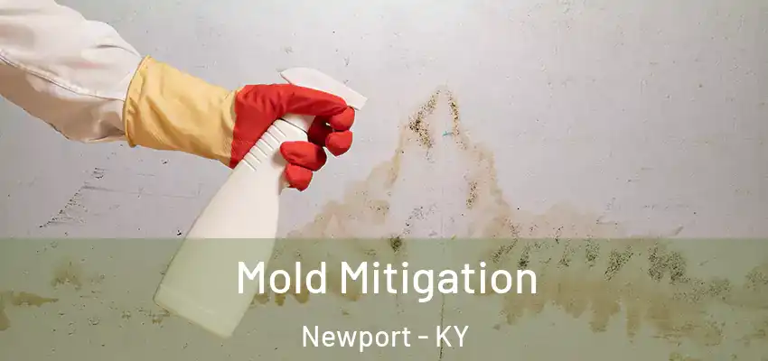 Mold Mitigation Newport - KY