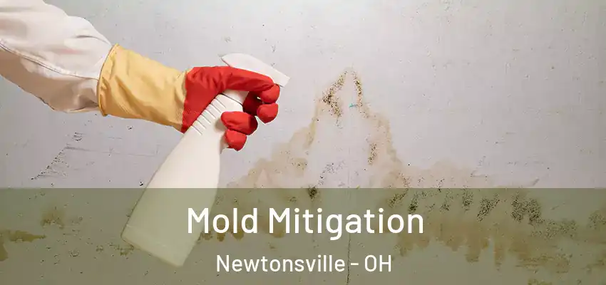 Mold Mitigation Newtonsville - OH