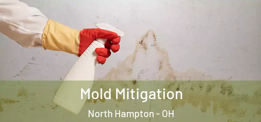  Mold Mitigation North Hampton - OH