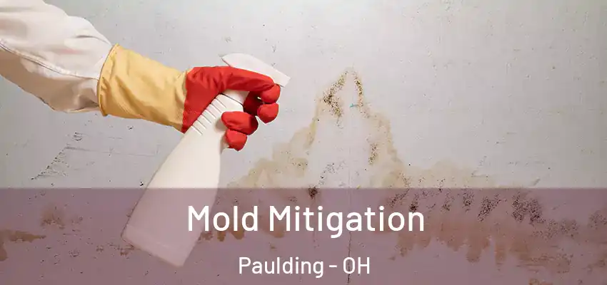  Mold Mitigation Paulding - OH