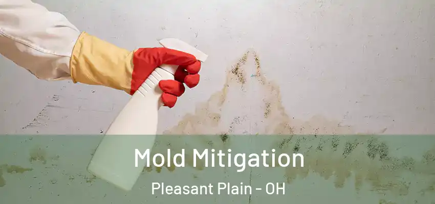  Mold Mitigation Pleasant Plain - OH