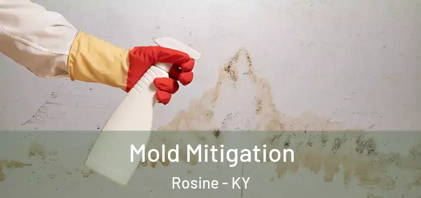 Mold Mitigation Rosine - KY