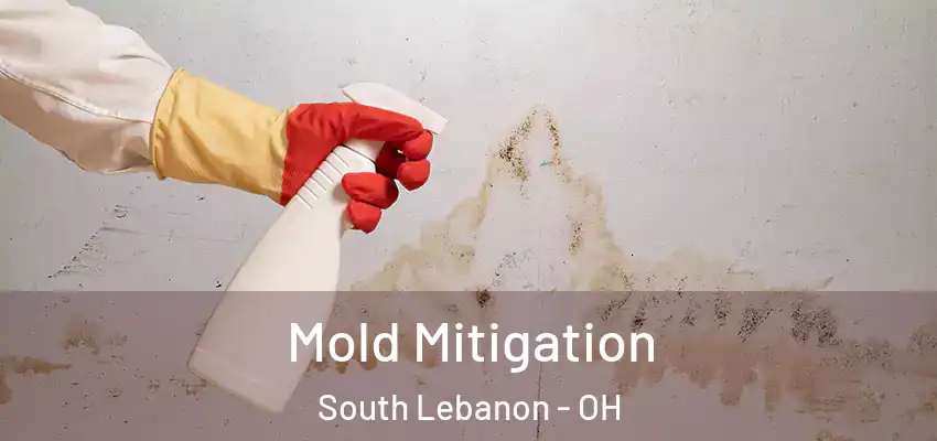 Mold Mitigation South Lebanon - OH