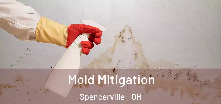  Mold Mitigation Spencerville - OH