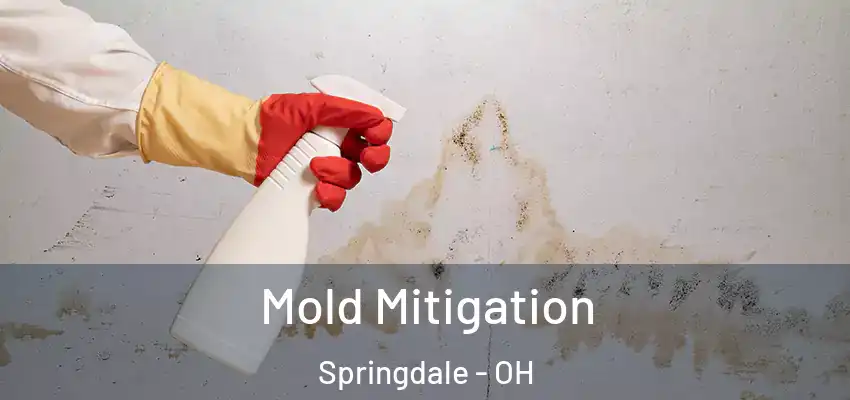  Mold Mitigation Springdale - OH