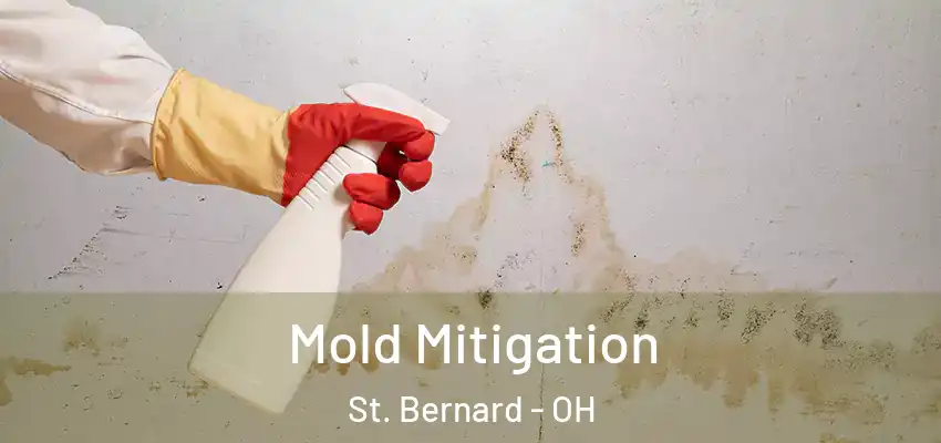  Mold Mitigation St. Bernard - OH