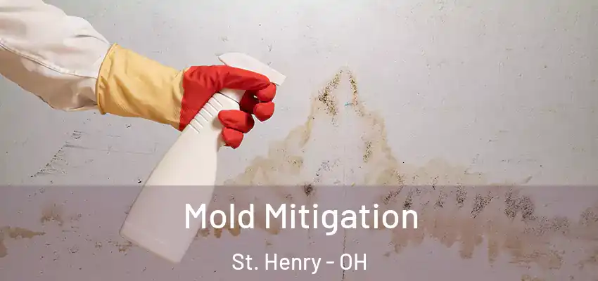  Mold Mitigation St. Henry - OH