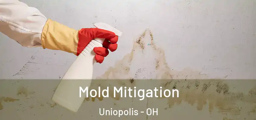 Mold Mitigation Uniopolis - OH