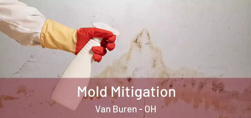Mold Mitigation Van Buren - OH