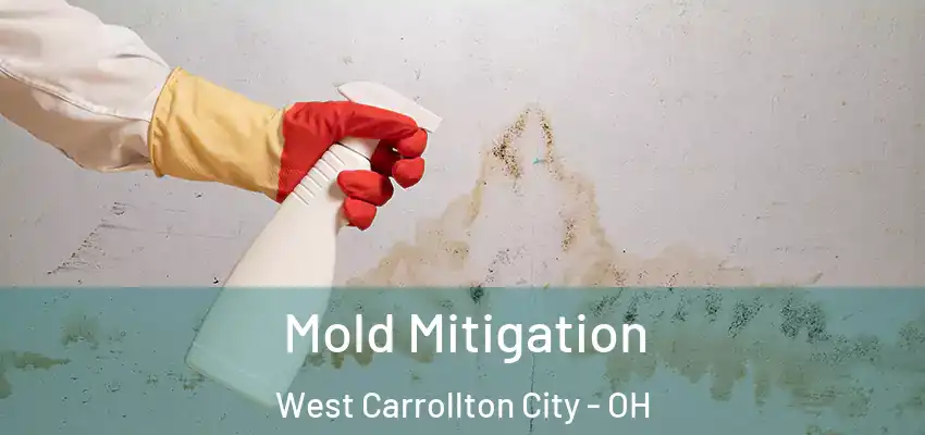 Mold Mitigation West Carrollton City - OH