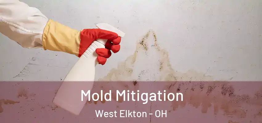 Mold Mitigation West Elkton - OH