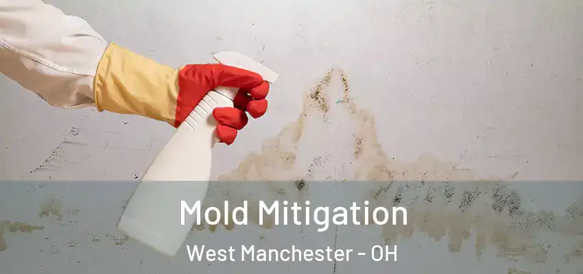 Mold Mitigation West Manchester - OH