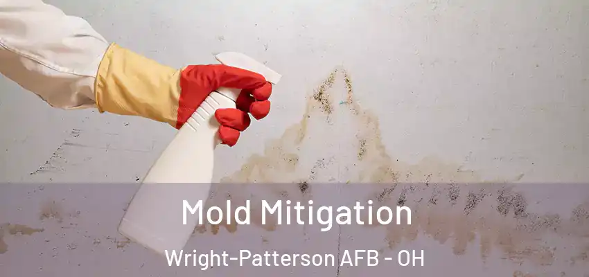 Mold Mitigation Wright-Patterson AFB - OH