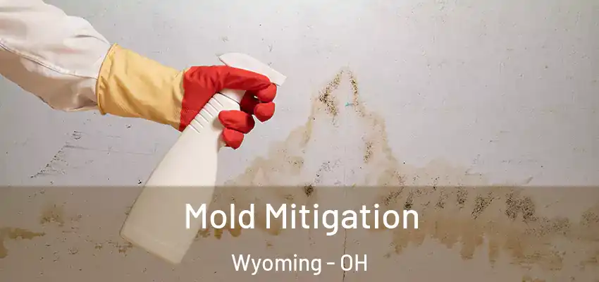 Mold Mitigation Wyoming - OH