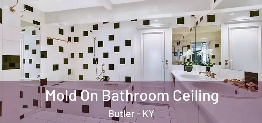  Mold On Bathroom Ceiling Butler - KY