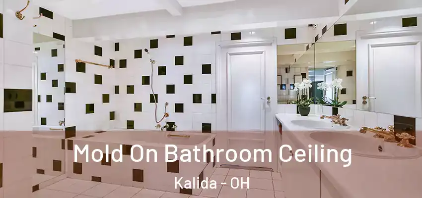  Mold On Bathroom Ceiling Kalida - OH