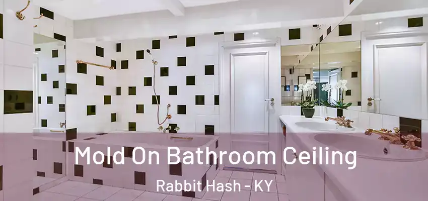  Mold On Bathroom Ceiling Rabbit Hash - KY