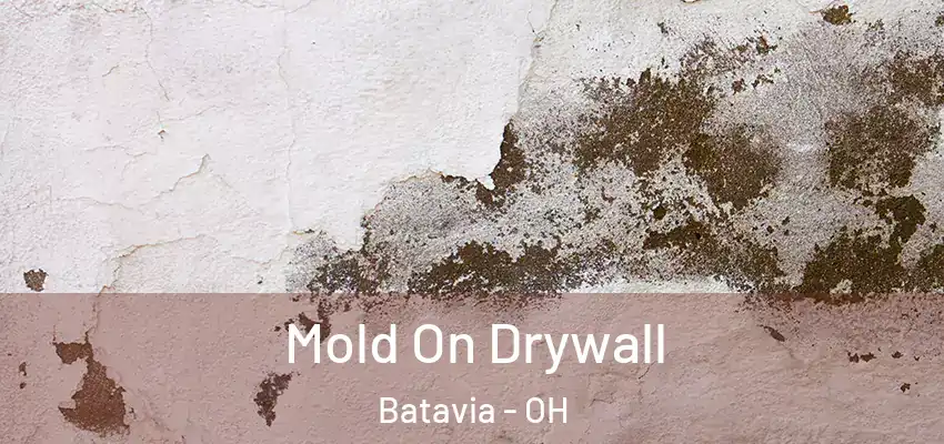  Mold On Drywall Batavia - OH