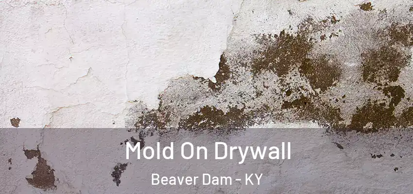  Mold On Drywall Beaver Dam - KY