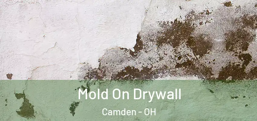 Mold On Drywall Camden - OH