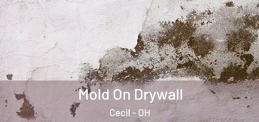  Mold On Drywall Cecil - OH