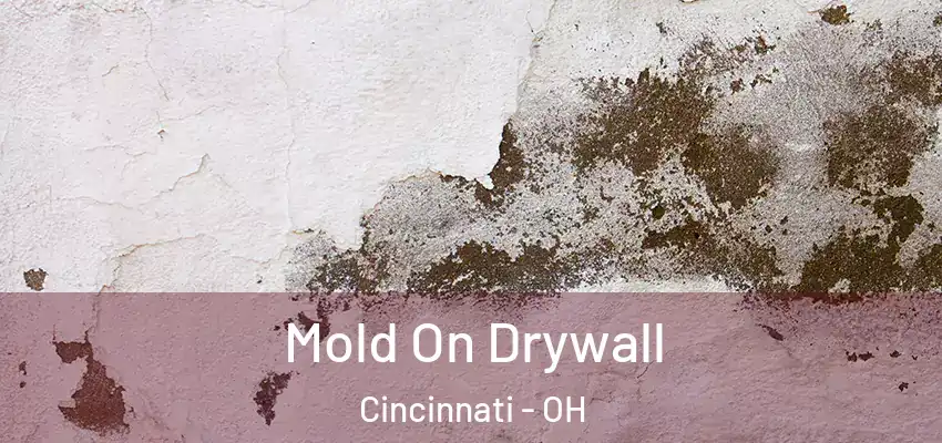  Mold On Drywall Cincinnati - OH