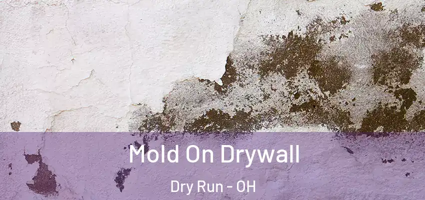  Mold On Drywall Dry Run - OH