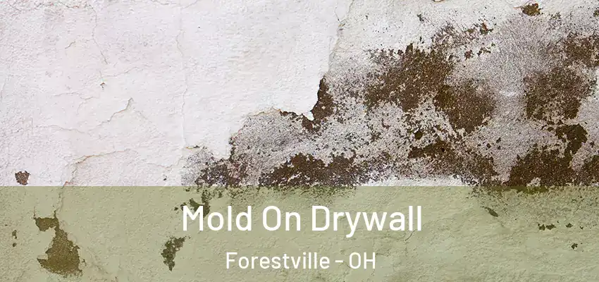  Mold On Drywall Forestville - OH