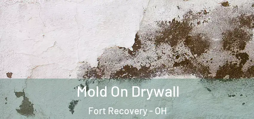  Mold On Drywall Fort Recovery - OH