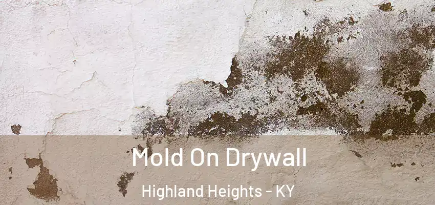  Mold On Drywall Highland Heights - KY