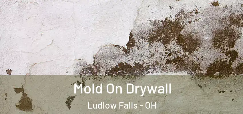  Mold On Drywall Ludlow Falls - OH