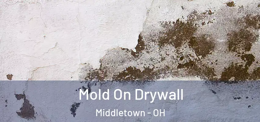  Mold On Drywall Middletown - OH
