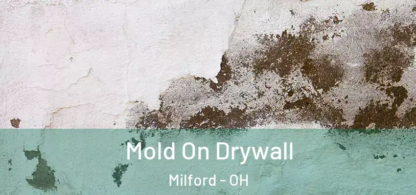  Mold On Drywall Milford - OH