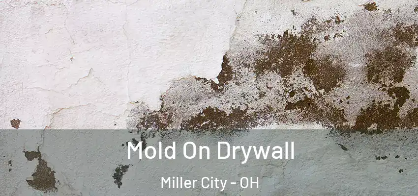  Mold On Drywall Miller City - OH
