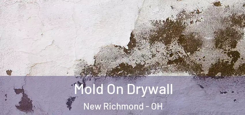  Mold On Drywall New Richmond - OH