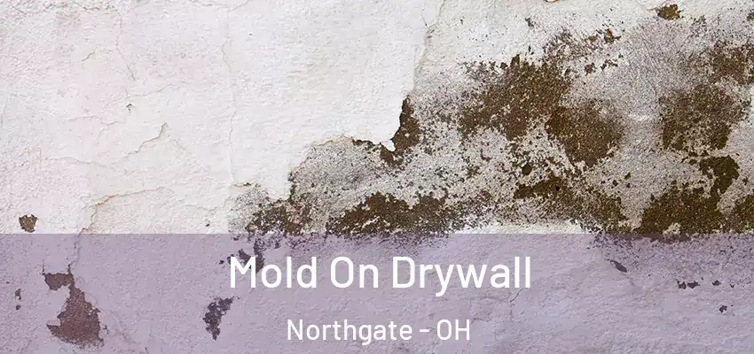  Mold On Drywall Northgate - OH