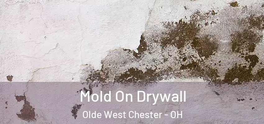  Mold On Drywall Olde West Chester - OH