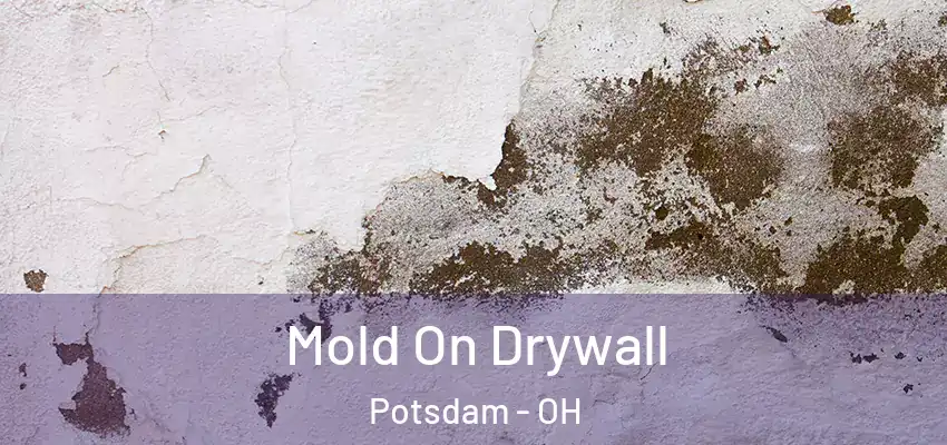  Mold On Drywall Potsdam - OH